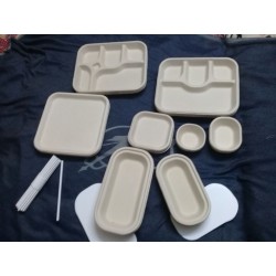 Disposable food trays