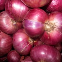 Bellary Onion