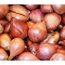 Multiplier Onion