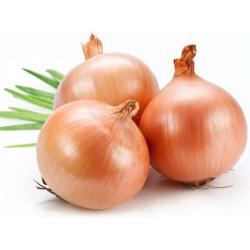 Fresh Brown Organic Onion