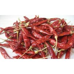 Dry Red Chilli - Guntur - 334 - Medium Best - With Stem