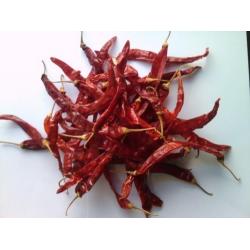 Dry Red Chilli - Guntur - S 273 - With Stem