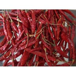 Dry Red Chilli - Guntur - Teja - S 17 - With Stem