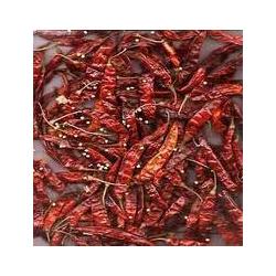 Dry Red Chilli - Guntur - Fatki - With Stem