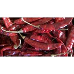 Dry Red Chilli - Warangal - Indo 5 - With Stem